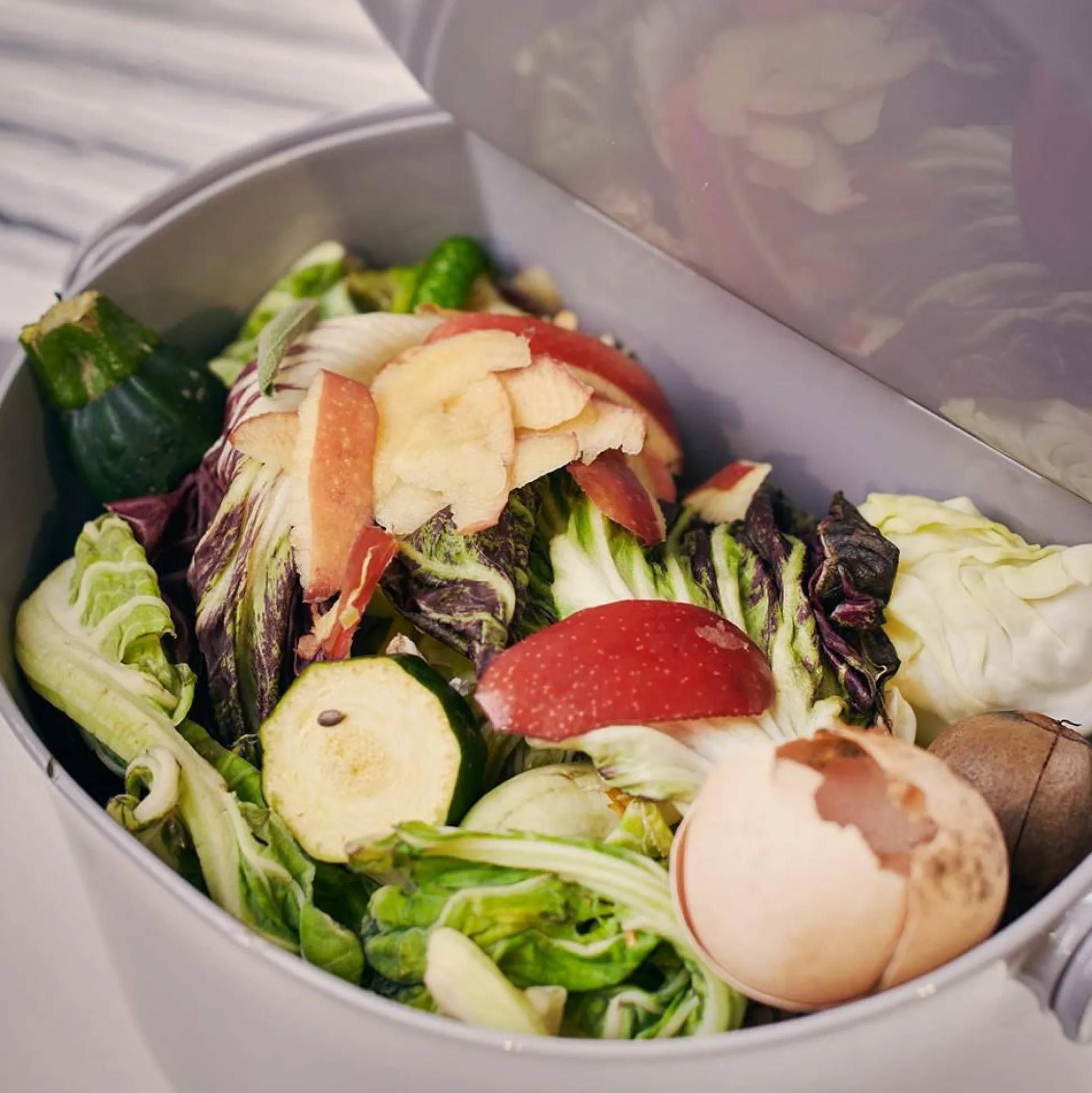 Bac à compost Daily - Gris