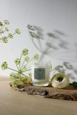 Bougie parfumée À l'ombre des tilleuls