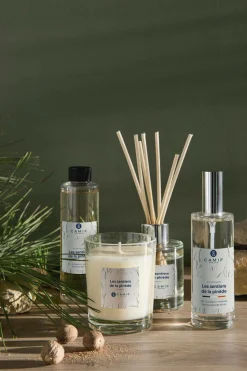 Bougie parfumée Les sentiers de la pinède