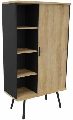 BURONOMIC Armoire 1 porte et 3 tablettes Alto
