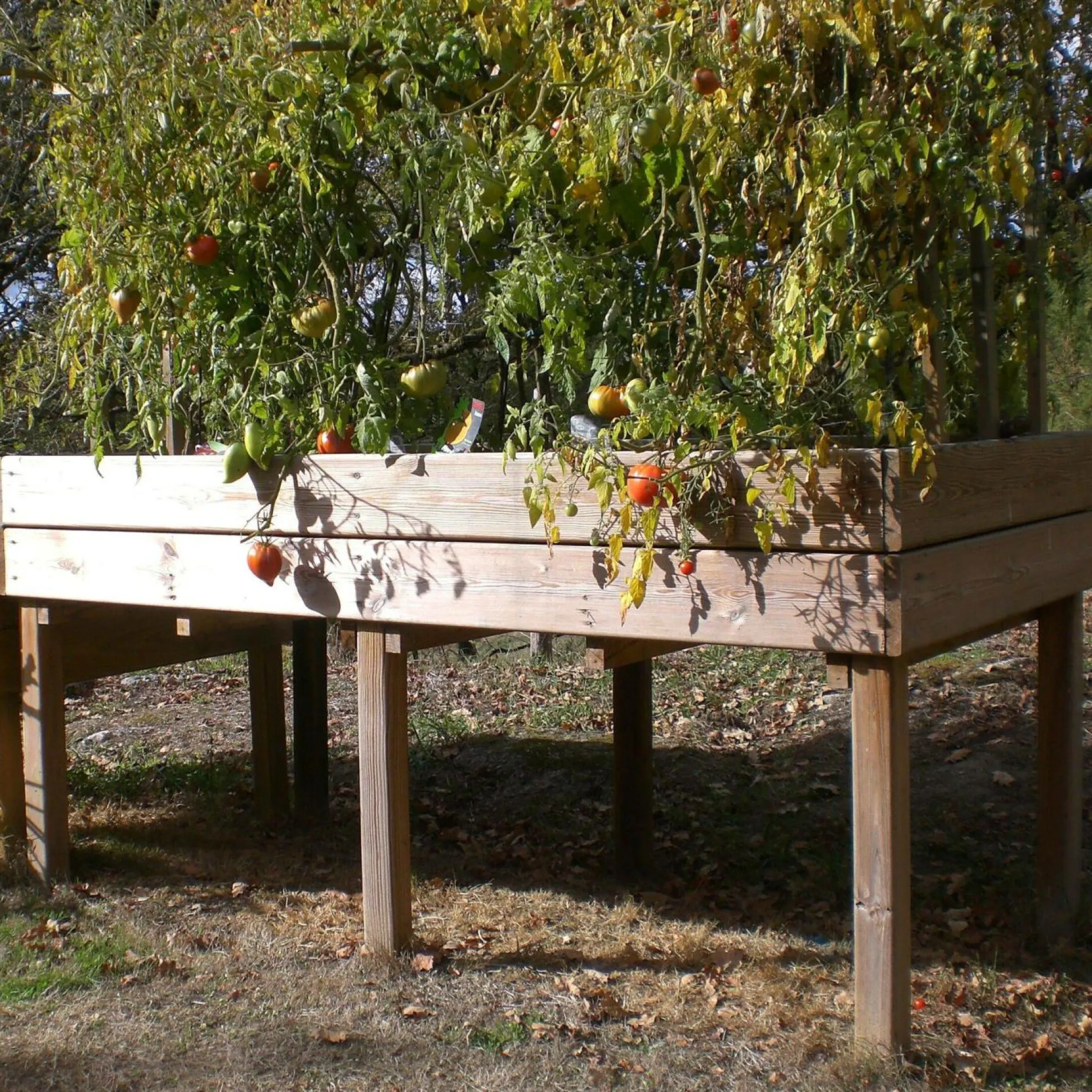 C.I.H.B. Table Potagère Rectangulaire 320 L en Bois Autoclave