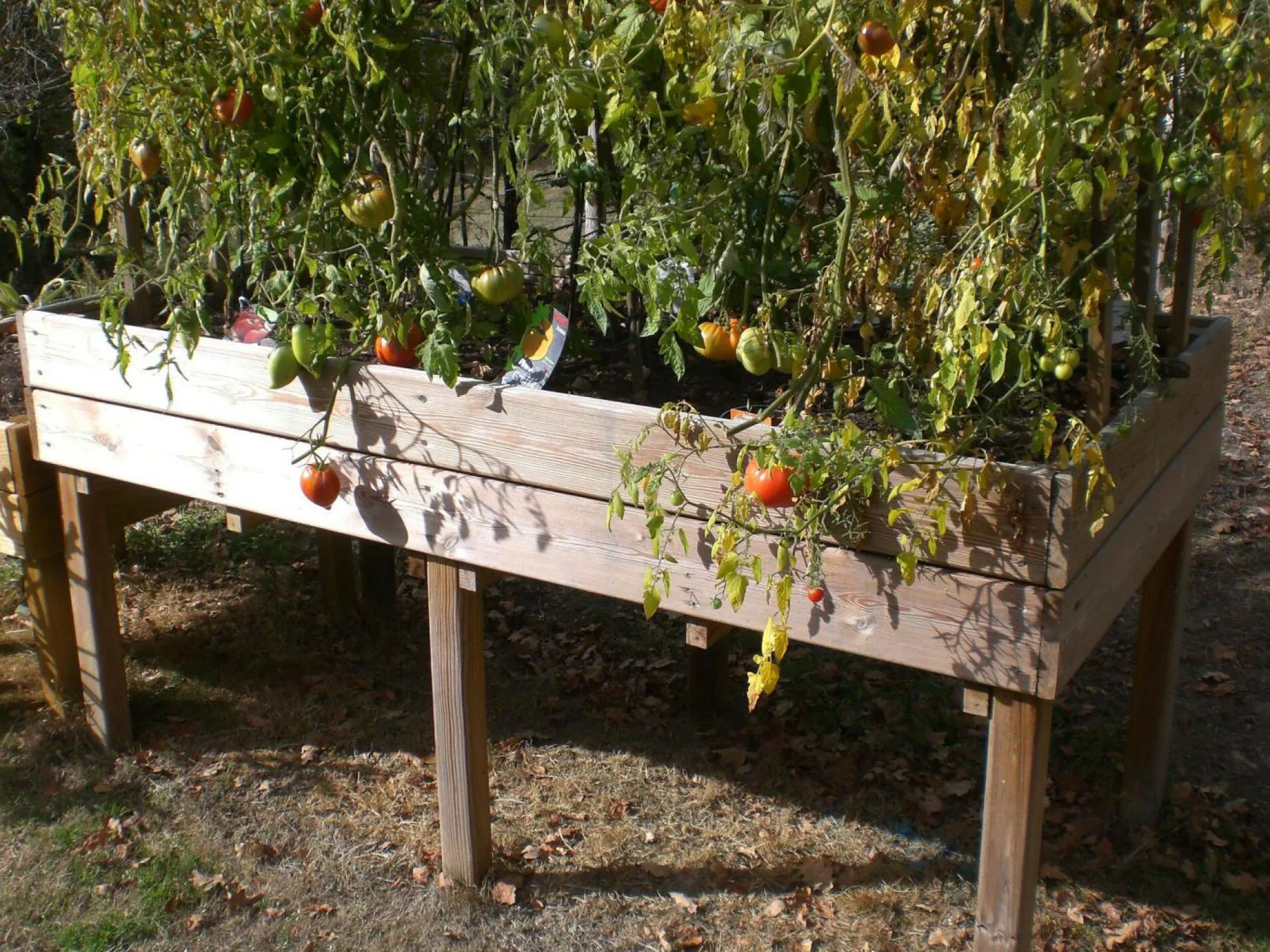 C.I.H.B. Table Potagère Rectangulaire 320 L en Bois Autoclave