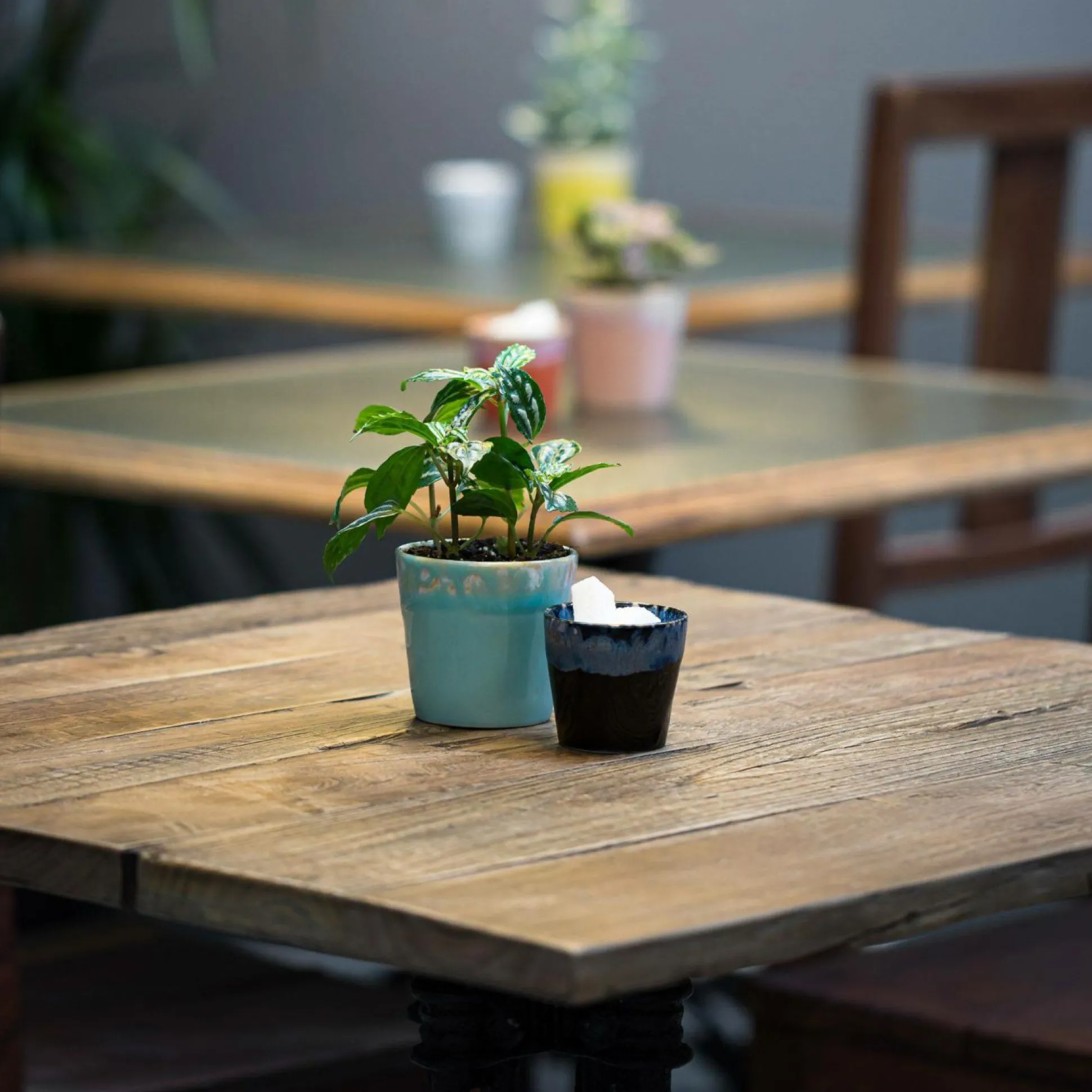 COSTA NOVA Lot de 6 Tasses Lungo Grespresso - Bleu Clair