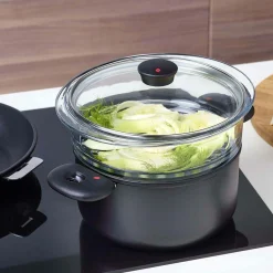 CRISTEL Cuit vapeur verre 24 cm avec couvercle Cookway