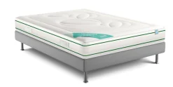 DUNLOPILLO Matelas latex d'origine naturelle 22 cm Hévéane - 90 x 200 cm