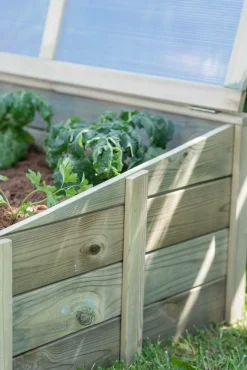 EKJU Serre à Poser 60 x 100 cm en Bois et Plexiglass