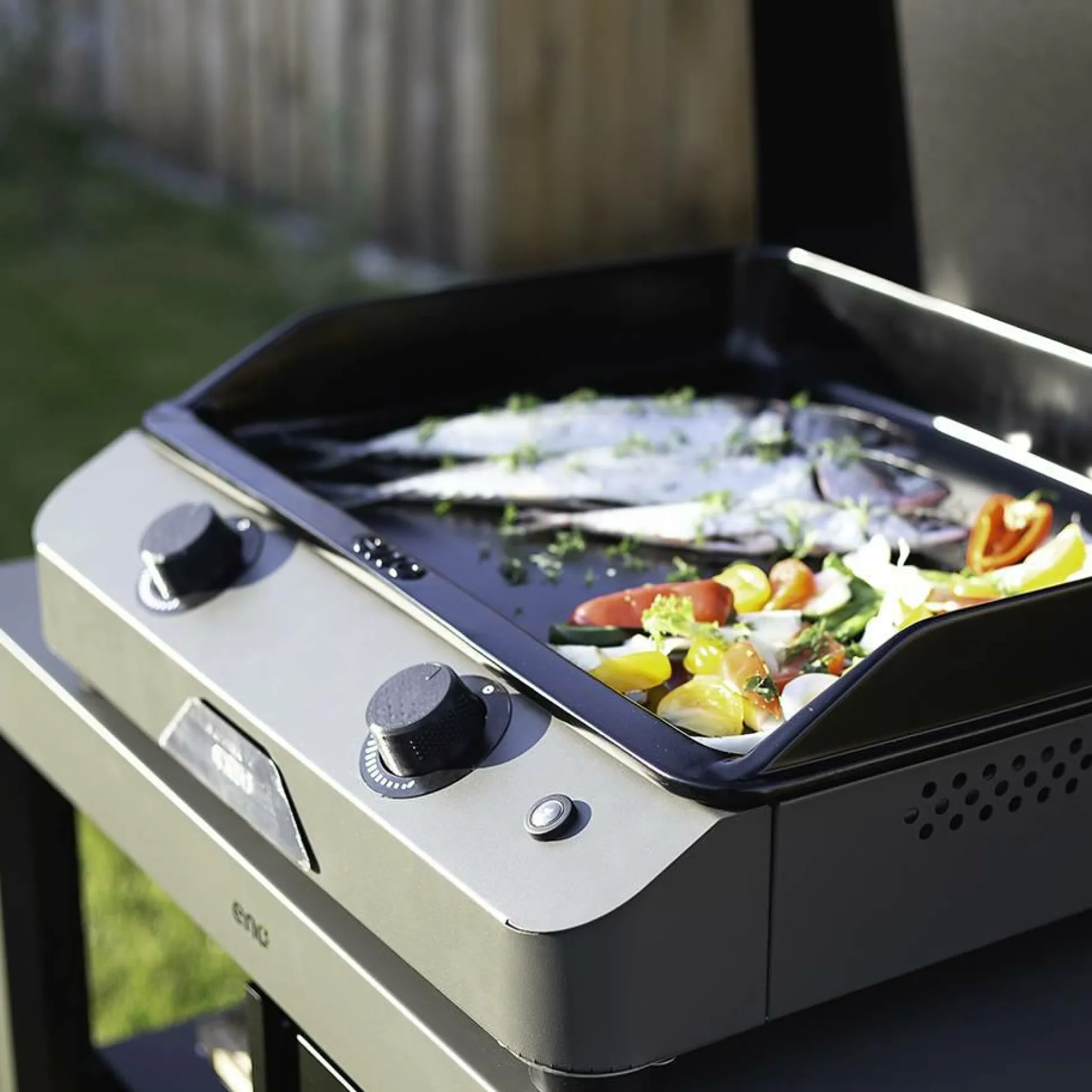 ENO Plancha Fusion Gaz 60 en Acier Gris Cargo