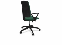 FLOKK Fauteuil de bureau dossier capitonné et plastique noir avec accoudoirs fixes Raya 21S - Vert - Roulettes pour sol dur