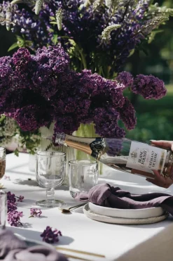 LA ROCHERE Lot de 6 Gobelets Libellule