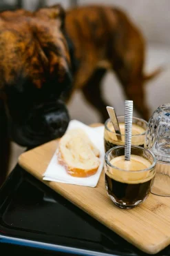 LA ROCHERE Set de 4 expressos Troquet assortis