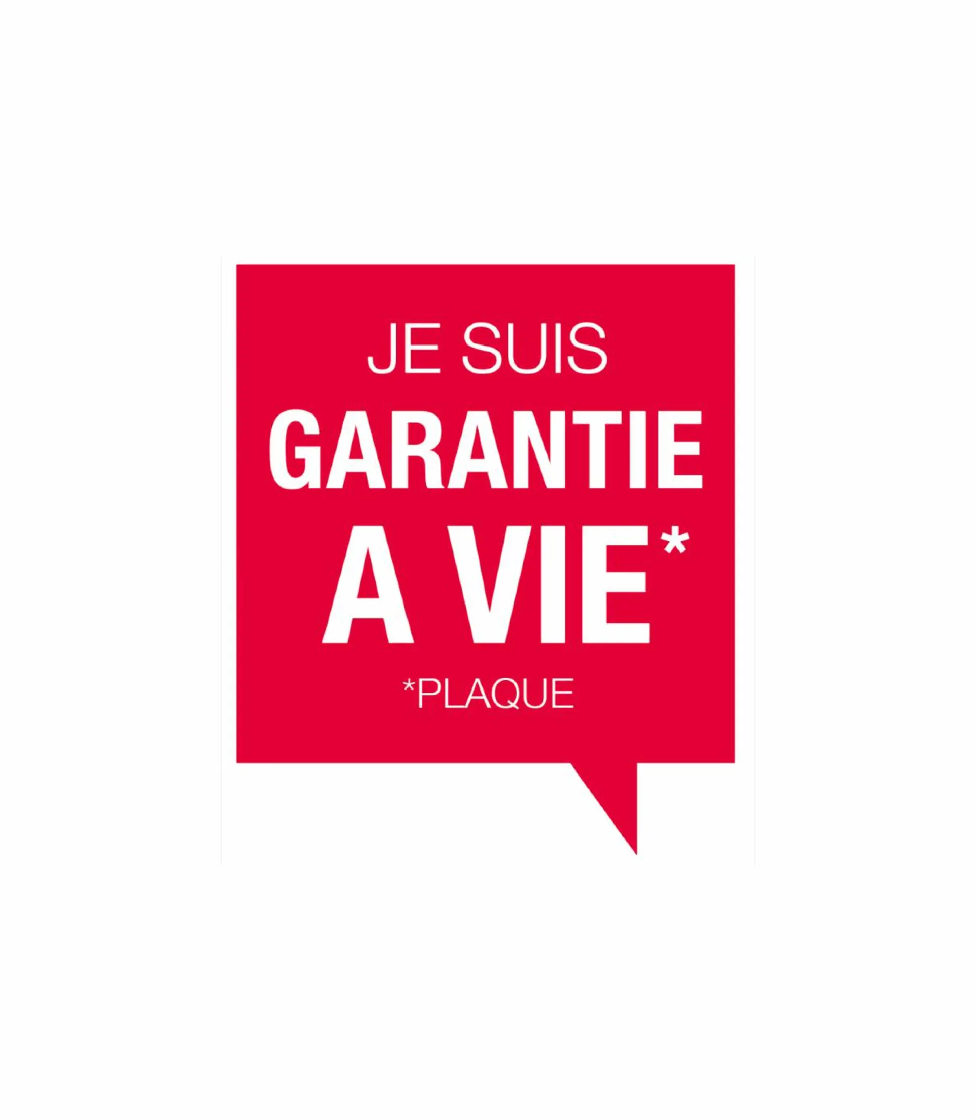 LE MARQUIER Plancha Signature Allure Électrique 260 en Inox