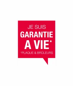 LE MARQUIER Plancha Signature Allure 260 en Inox