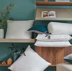 Lot de 2 oreillers ferme 100% plumettes de Canard Candice - Ferme - 50 x 70 cm