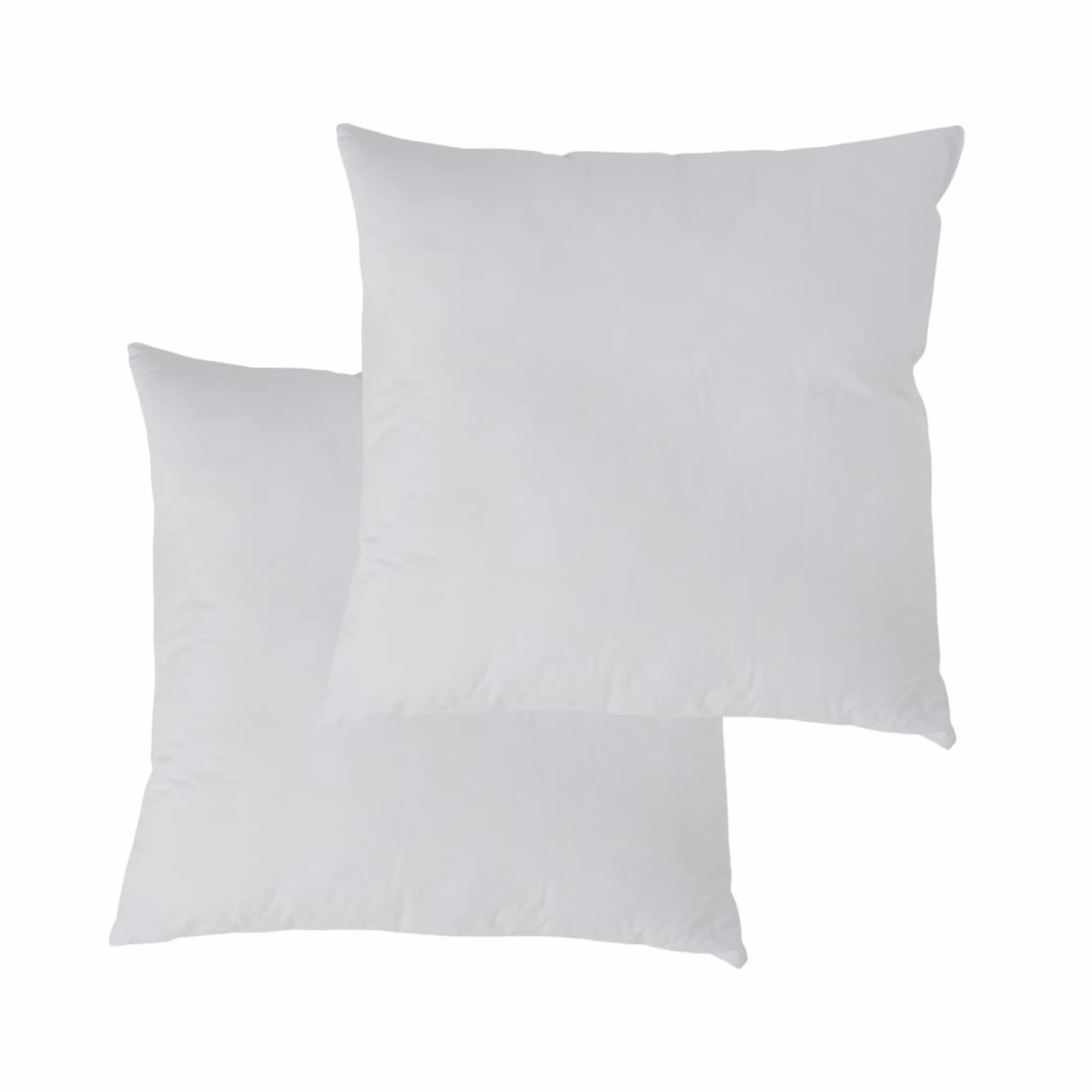 Lot de 2 oreillers souples Leny - 65 x 65 cm