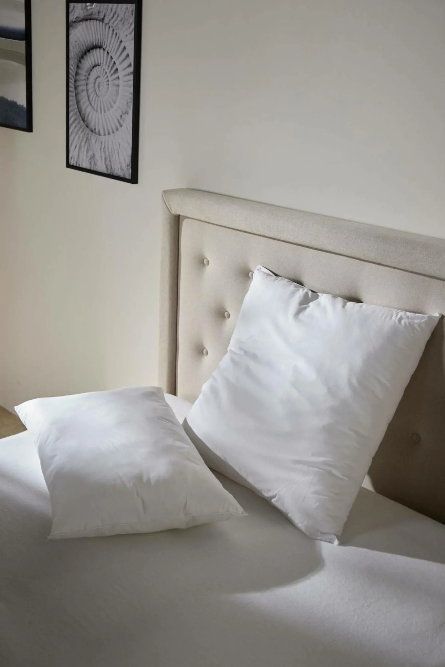 Lot de 2 oreillers souples Leny - 65 x 65 cm