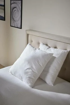 Lot de 2 oreillers souples Leny - 65 x 65 cm