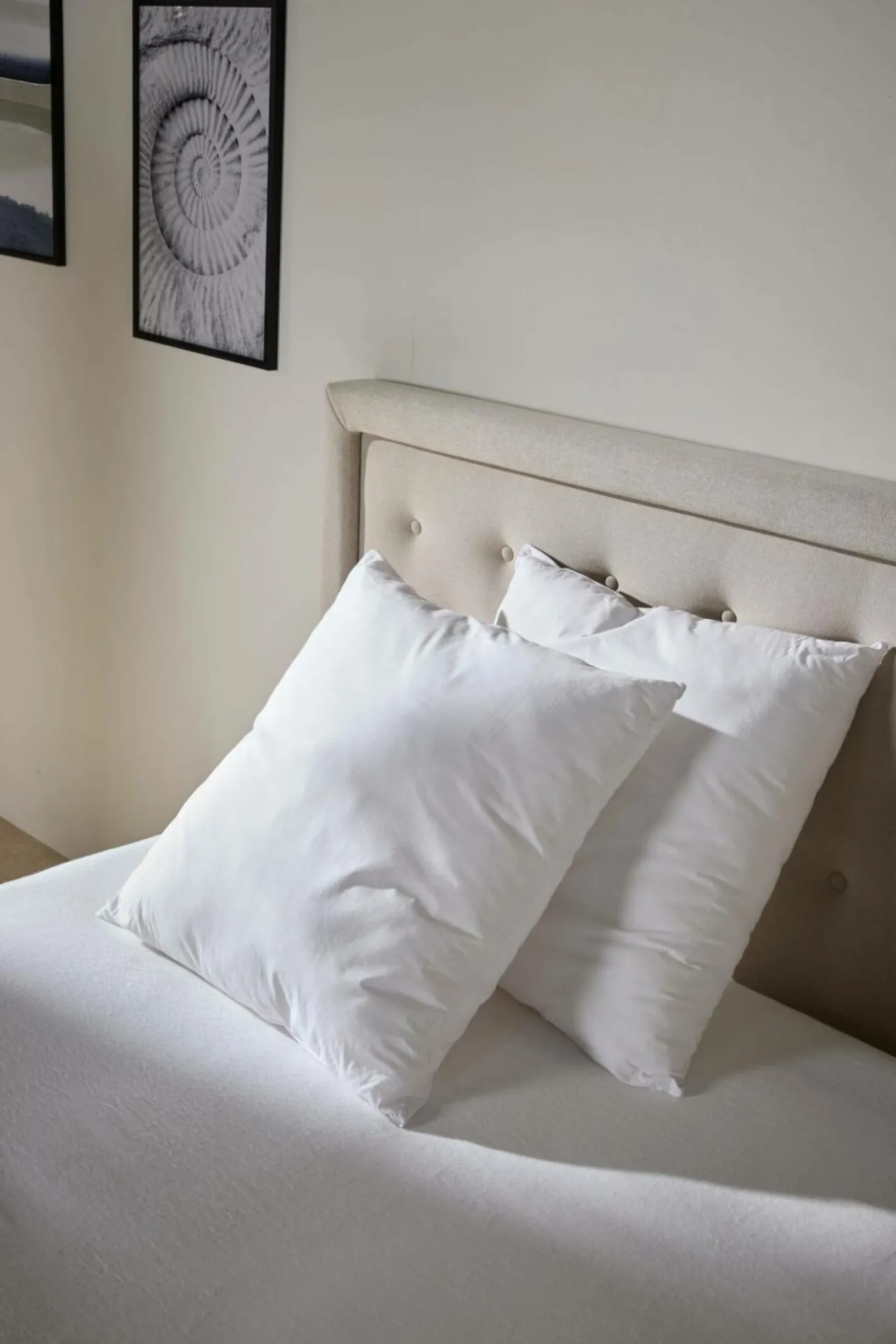 Lot de 2 oreillers souples Leny - 65 x 65 cm