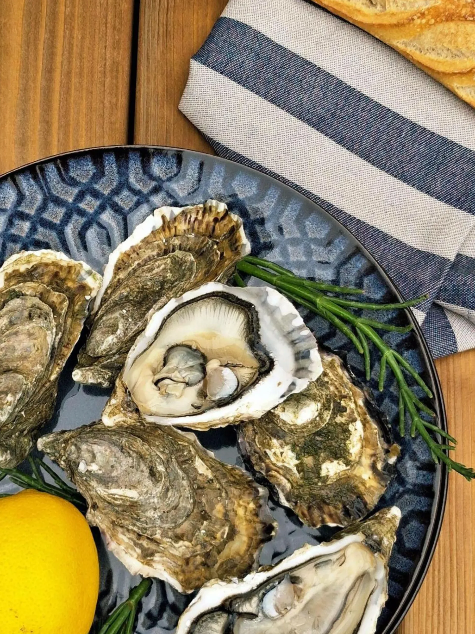 MARIA PT TERRACOTA Lot de 6 Assiettes plates Croisé Anadia