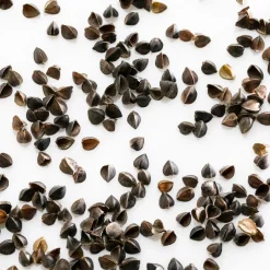 MILLE OREILLERS Oreiller ferme en sarrasin biologique - 60 x 60 cm