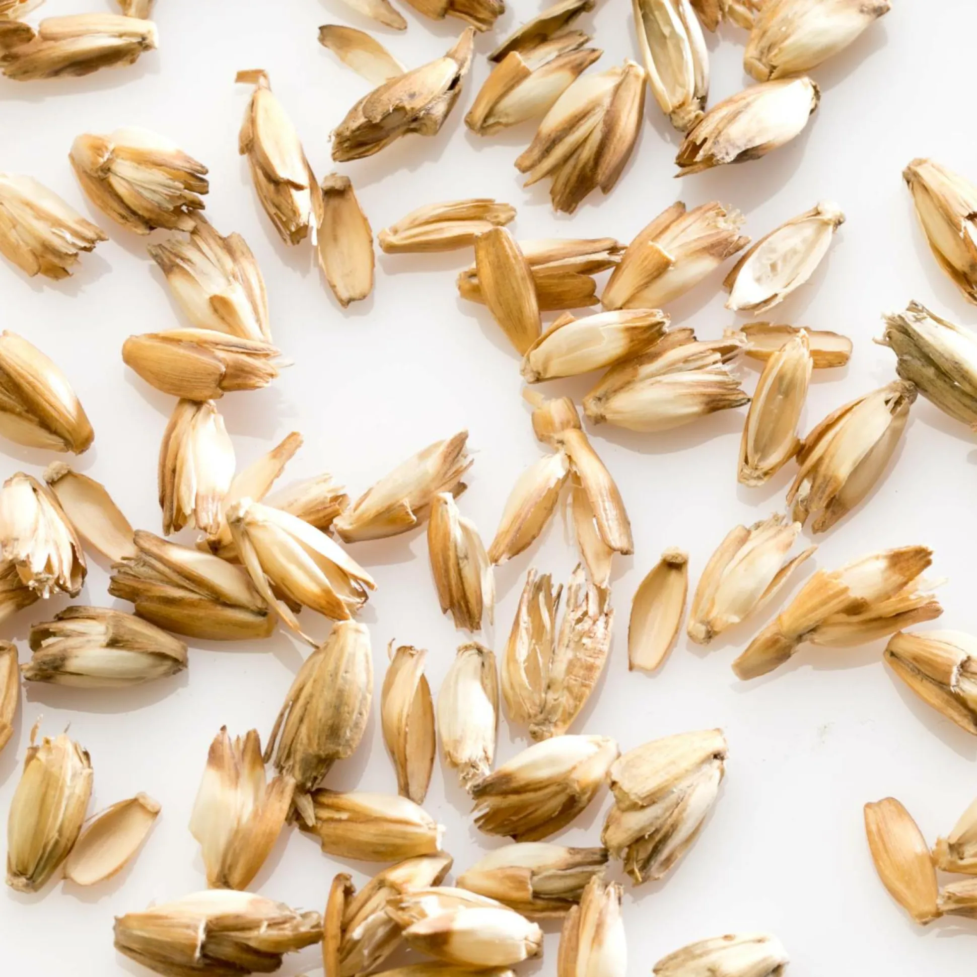 MILLE OREILLERS Oreiller ferme d'épeautre biologique - 40 x 60 cm