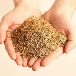 MILLE OREILLERS Oreiller ferme au houblon des Flandres - 50 x 70 cm