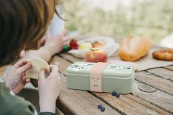 MONBENTO Lunchbox enfant Foodie - Vert Raccoon