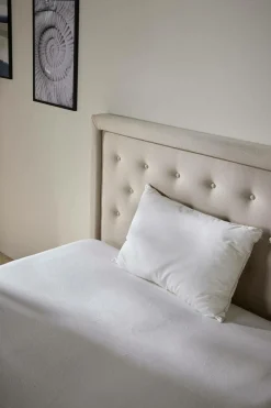 Oreiller anti-acariens phytocare Louna - Ferme - 50 x 70 cm