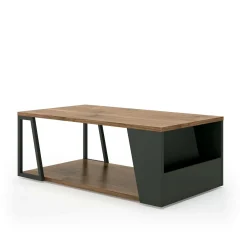 Table basse Albi - Noir/Noyer