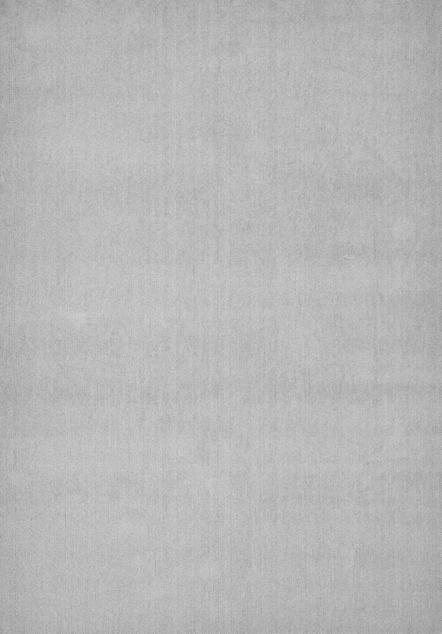 Tapis Bella - Gris Clair - 120 x 170 cm