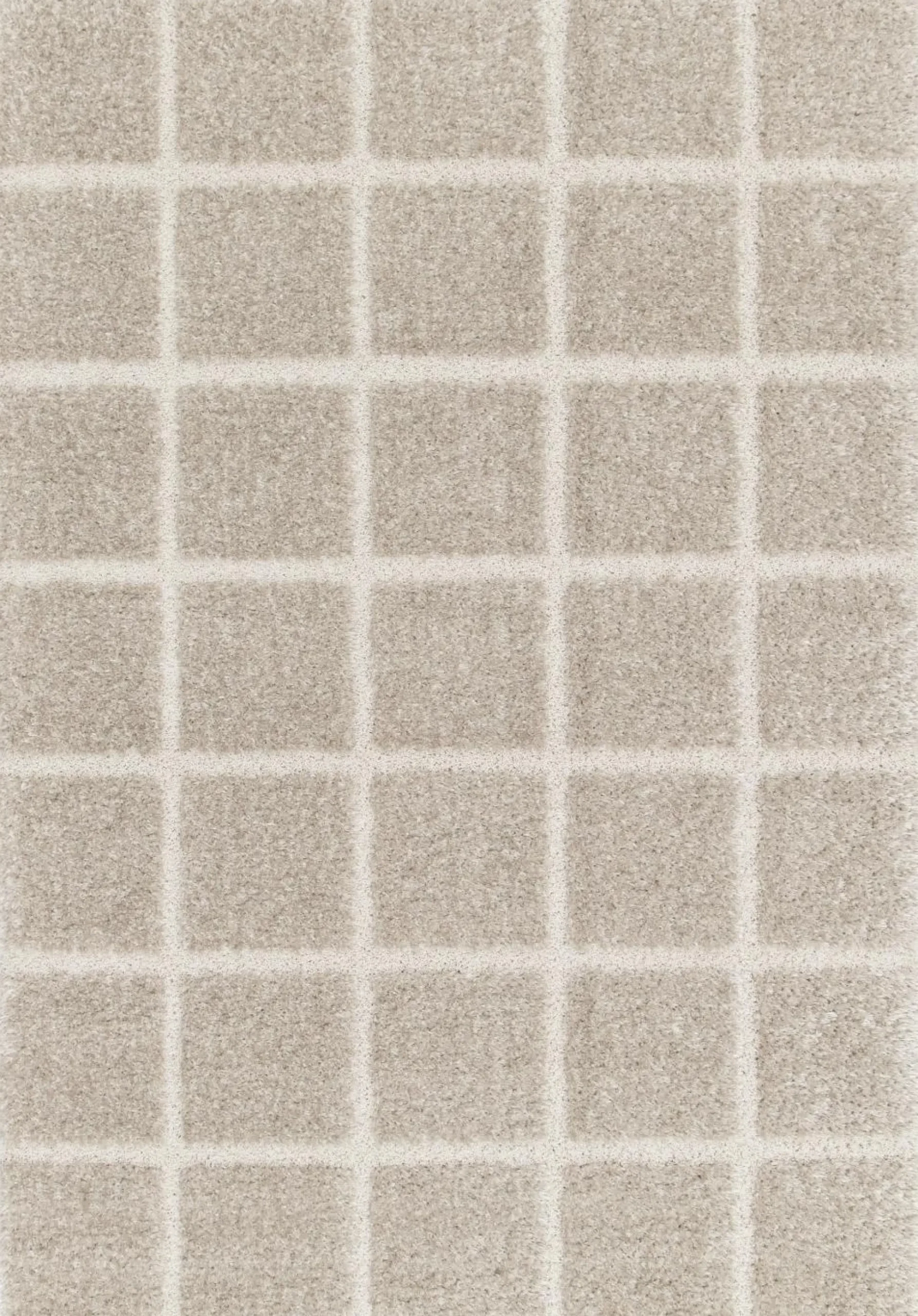 Tapis Brune - Taupe - 120 x 170 cm