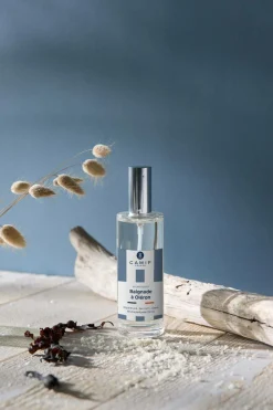 Vaporisateur Baignade à Oléron