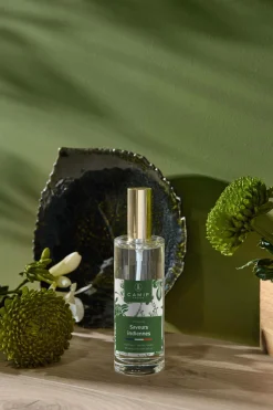 Vaporisateur Saveurs indiennes